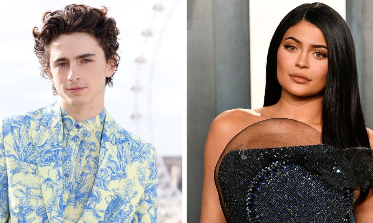 Kylie Jenner Timothee Chalamet Dating: Hollywood's New It Couple or ...