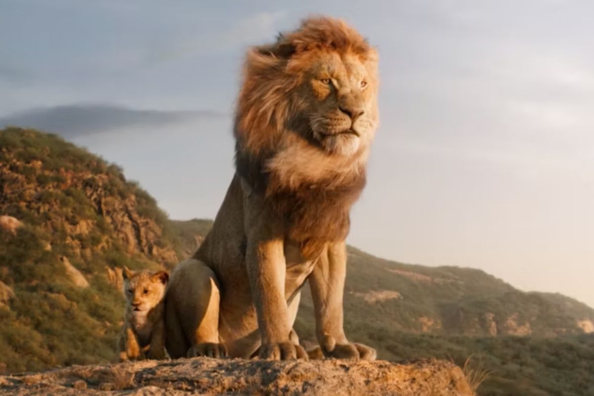 Disney Upcoming Lion King Prequel: Unveiling the Transformative Path of ...